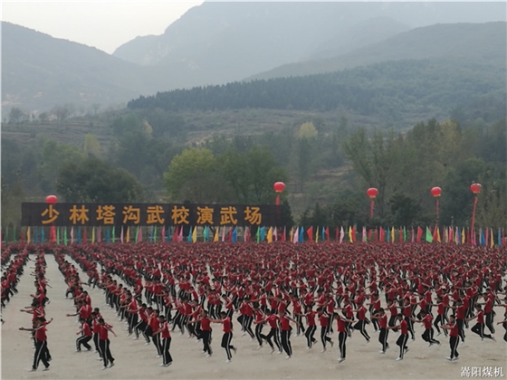 第十一屆鄭州國際少林武術(shù)節(jié)萬人武術(shù)團(tuán)體操表演